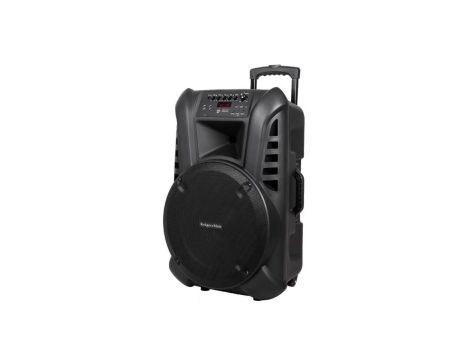Aktywna kolumna głośnikowa (z 2 mikrofonami bezprzewodowymi UHF, SD, Bluetooth, FM, USB) 60 Watt