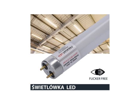 Świetlówka led T8 G13 60cm 10W 3000K 950lm PC Prescot Flicker free