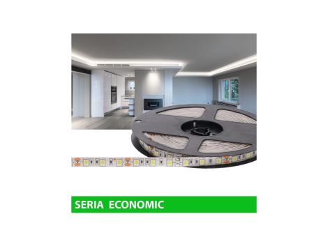 Taśma Economic IP63 12V 60led W 6000-7000K SMD5050 (5)