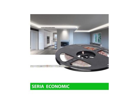 Taśma Economic IP63 12V 60led W 6000-7000K SMD2835 (25)