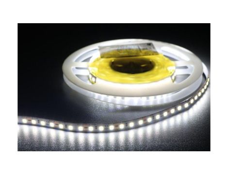 HQS-9.6W-120LED-W-12V-5m Profesjonalna taśma LED 9.6W/m, 12V, 120LED 2835 biała, 6500K, IP33