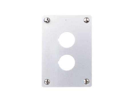 Płyta czołowa do montażu podtynkowego 2-otwory 22mm M22-E2 216543