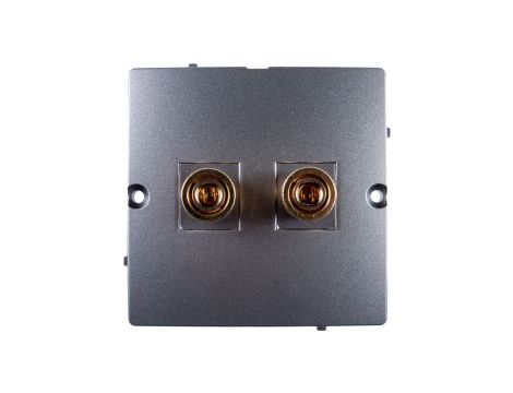 Simon Basic Gniazdo głośnikowe do jednej kolumny stal inox BMGL2.02/21