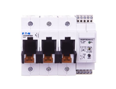 Rozłącznik bezpiecznikowy 3P 63A D02 Z-SLK/NEOZ/3 248240