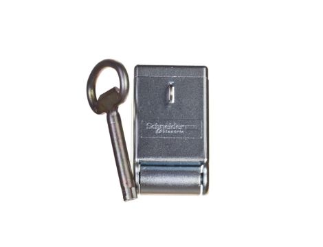 Zamknięcie na kłódkę do obudowy Spacial S3D NSYAEDLPADS3D