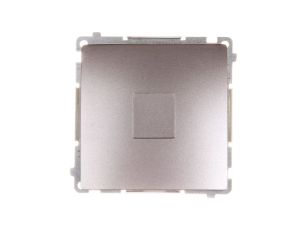 Simon Basic Zaślepka ramki stal inox BMPS.01/21