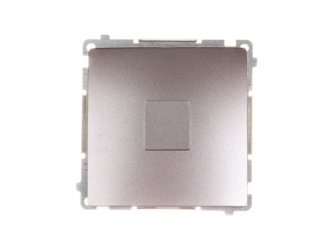 Simon Basic Zaślepka ramki stal inox BMPS.01/21