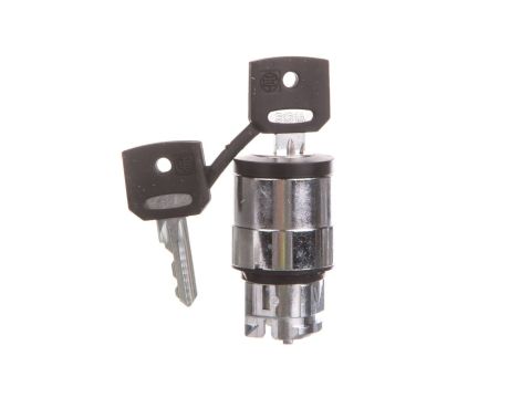 Główka przełącznika piórk., O 22, 2 poz., stabilny, Ronis 3131A ZB4BG220