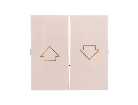 Simon 54 Klawisz do przycisku żaluzjowego SZP1M kremowy DKZP1/41