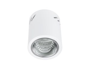 Oprawa Sufitowa Natynkowa Stała Okrągła APUS 10 Spot TUBA Biała E27