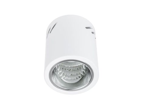 Oprawa Sufitowa Natynkowa Stała Okrągła APUS 10 Spot TUBA Biała E27