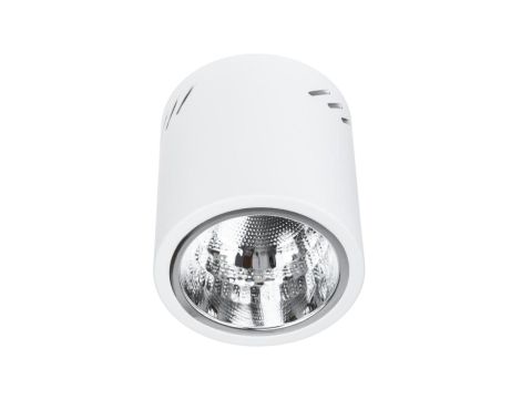 Oprawa Sufitowa Natynkowa Stała Okrągła APUS 13 Spot TUBA Biała E27