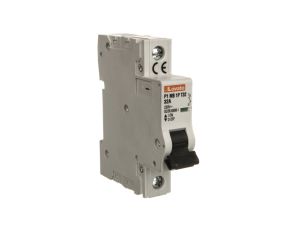 Ogranicznik mocy 1P 32A 10kA P1MB1PT32