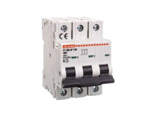 Ogranicznik mocy 3P 40A 10kA P1MB3PT40