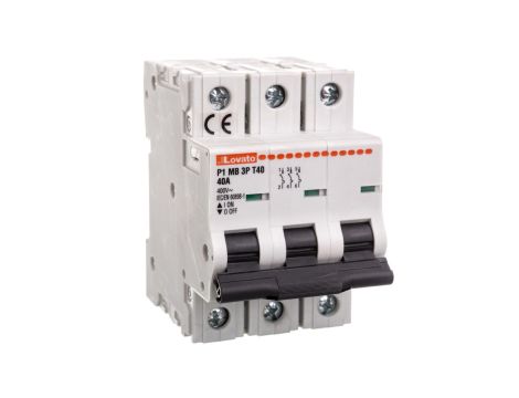 Ogranicznik mocy 3P 40A 10kA P1MB3PT40