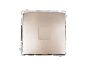 Simon Basic Zaślepka ramki satyna BMPS.01/29