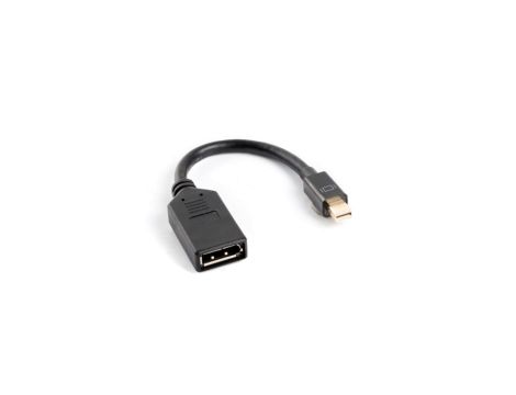 Adapter mini DisplayPort - DisplayPort czarny AD-0003-BK