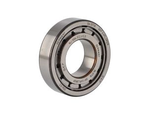 SKF - Łożysko NJ 206 ECJ/C3