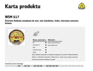 KLINGSPOR ŚCIERNICA LISTKOWA NASADZANA 125mm WSM617 gr. 60