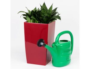 KONEWKA SPRING  3l  ZIELONA