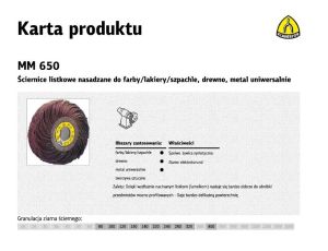 KLINGSPOR ŚCIERNICA LISTKOWA NASADZANA MM650 250 x 100mm P 80