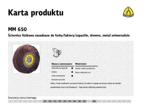 KLINGSPOR ŚCIERNICA LISTKOWA NASADZANA MM650 250 x 100mm P 80