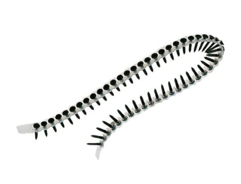 WKRĘTY DO METALU 3,5x35 /1000szt.   DO DCF620/1 - 2