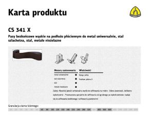 KLINGSPOR PASY BEZKOŃCOWE DO ELEKTRONARZĘDZI CS341X  100mm x 915mm gr.120 /12szt.