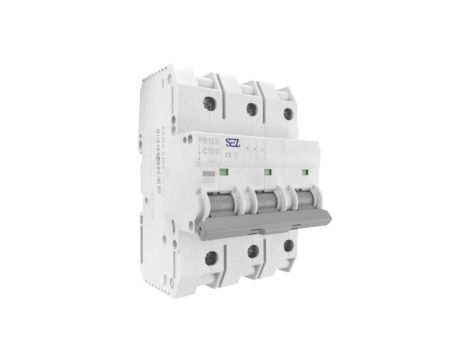 C100A 3P 10kA Wyłącznik nadprądowy bezpiecznik PR123 SEZ 6564