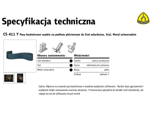 KLINGSPOR PASY BEZKOŃCOWE DO CYKLINIARKI 200mm x 750mm gr. 60 CS411Y /10 szt.