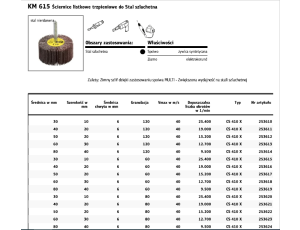 KLINGSPOR ŚCIERNICA LISTKOWA TRZPIENIOWA KM615  30mm x 10mm x 6mm gr. 80