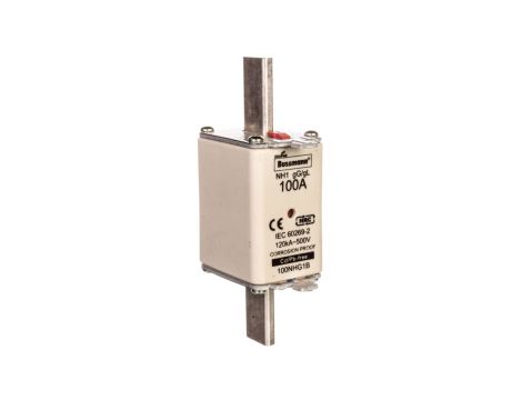 Wkładka NH1 100A 500V gL/gG podwójny wskaźnik 100NHG1B