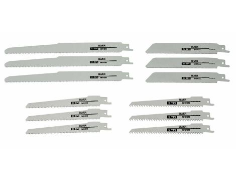 BRZESZCZOT DO PIŁY SZBLASTEJ 12 szt