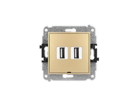 ICON Mechanizm gniazda podwójnego 2xUSB A-A 2.0, bez pola opisowego złoty 29IGUSBBO-2