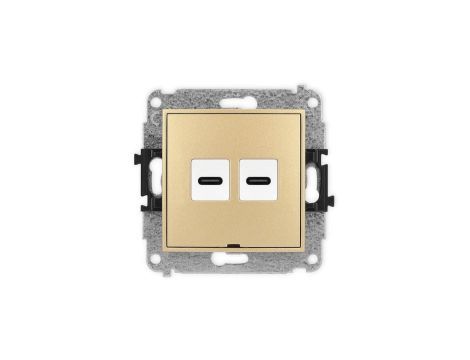 ICON Mechanizm gniazda podwójnego 2xUSB C-C, bez pola opisowego złoty 29IGUSBBO-8