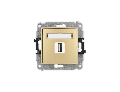 ICON Mechanizm gniazda pojedynczego USB A-A 2.0 złoty 29IGUSB-1