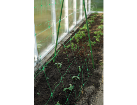 SIATKA PODPORA DO ROŚLIN PNĄCYCH PLANT NET 2x10m - 4