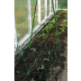 SIATKA PODPORA DO ROŚLIN PNĄCYCH PLANT NET 2x10m - 5