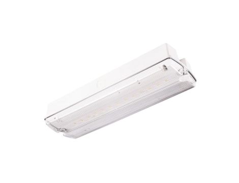 Oprawa ewakuacyjna/awaryjna ORION II 100 M 3H MT IP65 + ( OR7, OR8) / 91895