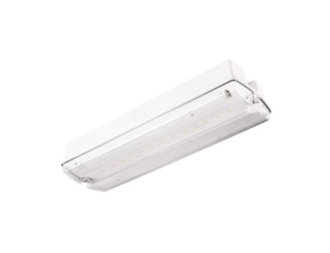 Oprawa ewakuacyjna/awaryjna ORION II 150 M 3H MT IP65 + (OR7, OR8) / 91715