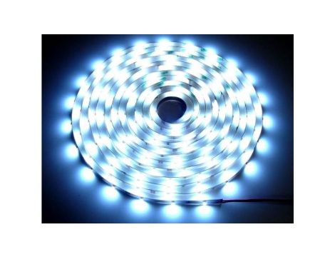 Taśma LED Premium 24V 2835 120d/m 50m 6000k IP20