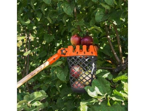 ZBIERAK DO OWOCÓW V-SERIES GUMOWY BEZ TRZONKA - 3