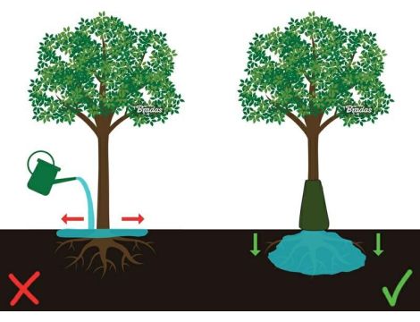 TORBA DO PODLEWANIA DRZEW 85l - 3