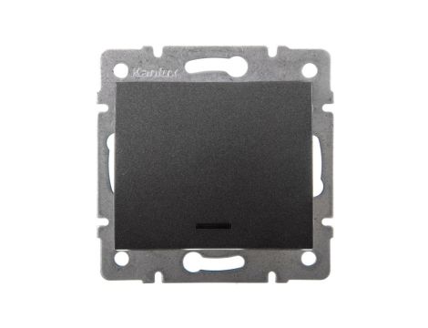 LOGI Łącznik jednobiegunowy z LED śrubowy 10AX 250V grafit 021110141 25256