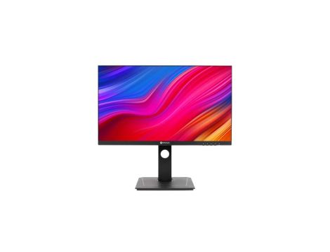 Monitor LED 24 WQHD 2K do pracy 18/7 połączenie USB-C 65W z regulacją pracy pion/poziom/nachylenie, Displayport, HDMI DW2401