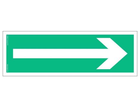 ZNAK - AA008 Kierunek drogi ewakuacyjnej 30 x 10 cm TS - Płyta TD foto.