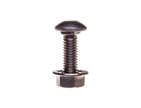 Śruba z łbem grzybkowym + nakrętka BTRCC6/20S4 CM801018 /100szt./