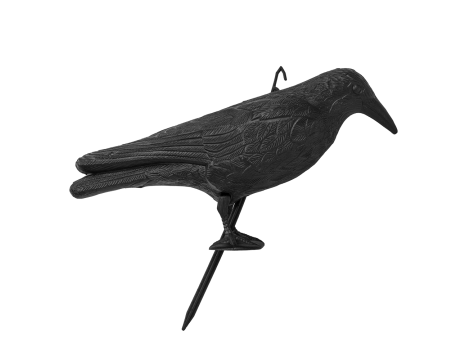 ODSTRASZACZ PTAKÓW KRUK - 2