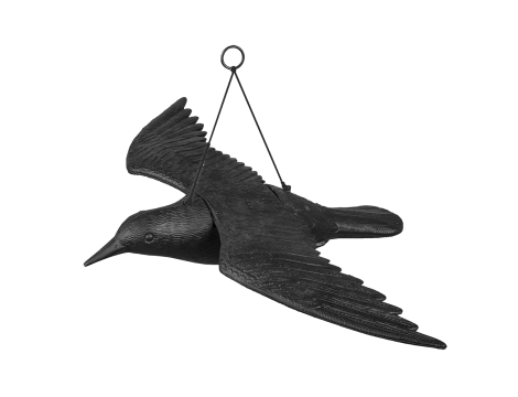 ODSTRASZACZ PTAKÓW KRUK W LOCIE