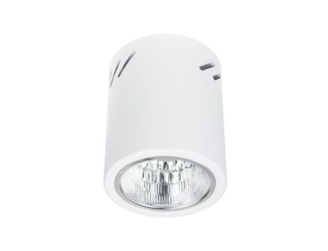 Oprawa Sufitowa Natynkowa Stała Okrągła APUS 13 Spot TUBA Biała E27